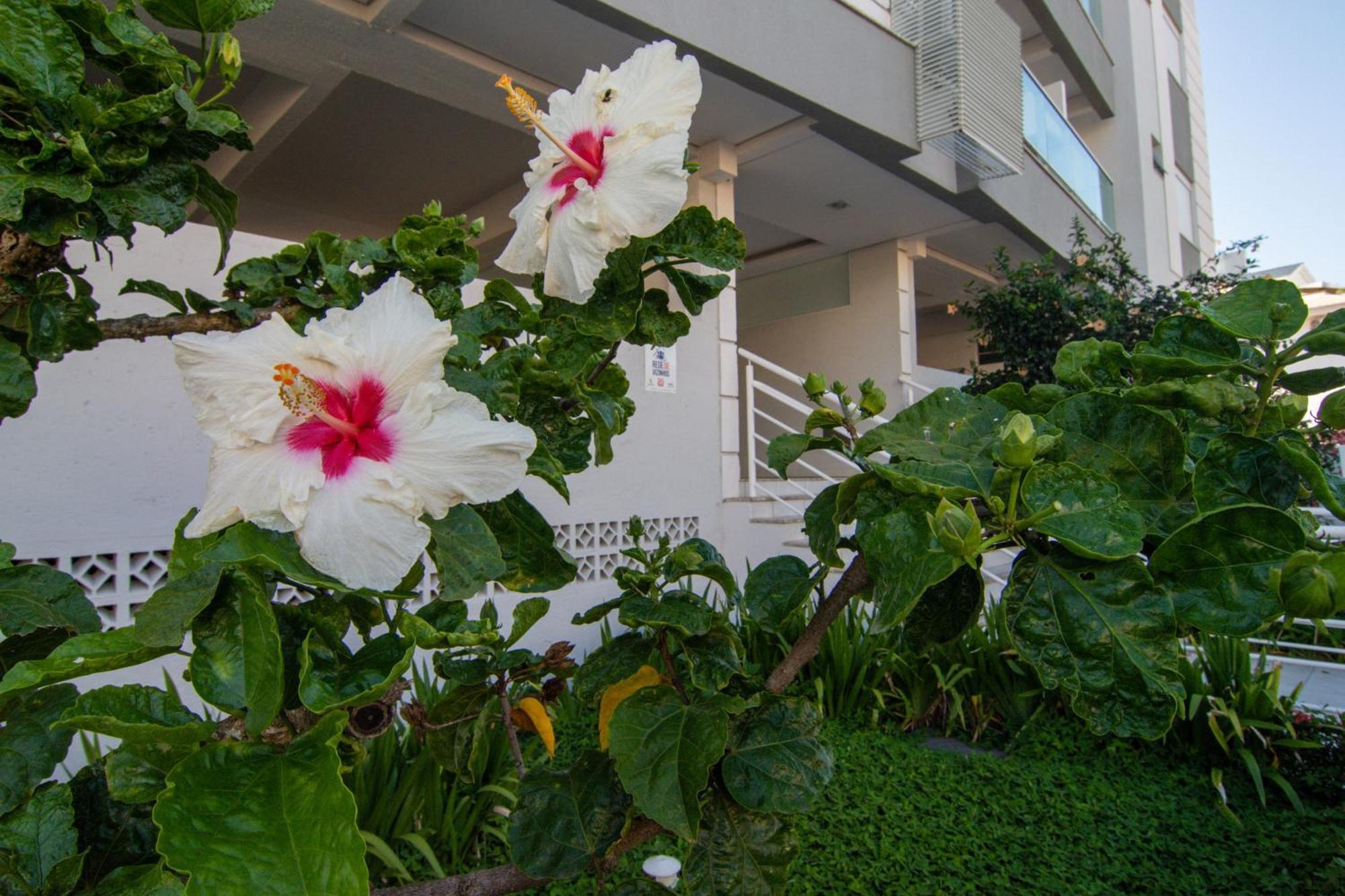 Localizacao Perfeita No Novo Campeche P473 Apartment Florianopolis Bagian luar foto